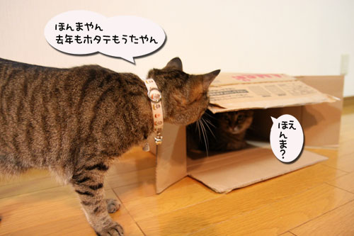 待っていたのは?_d0355333_11050354.jpg