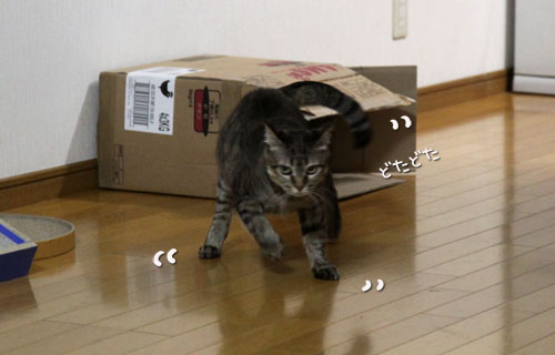 待っていたのは?_d0355333_11050425.jpg