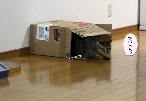 待っていたのは?_d0355333_11050436.jpg