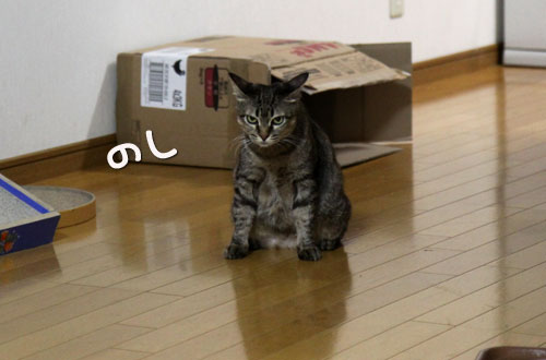 待っていたのは?_d0355333_11050453.jpg