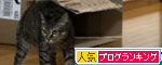 待っていたのは?_d0355333_11050483.jpg