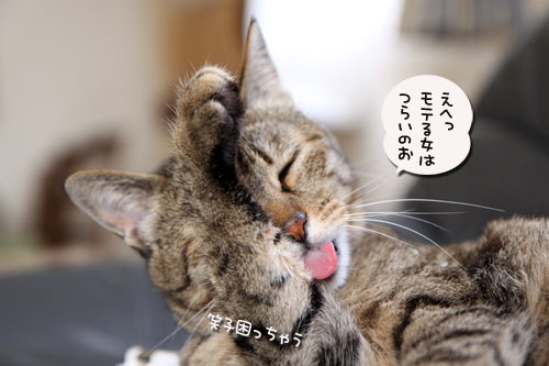 平和を守るのが仕事_d0355333_11052182.jpg