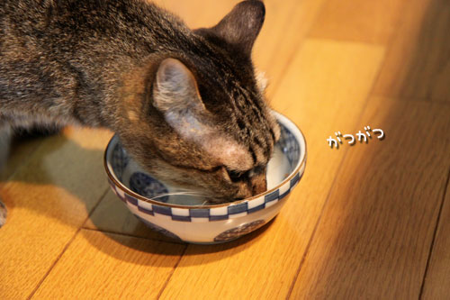 スゴいあすかのキメぜりふ_d0355333_11052889.jpg
