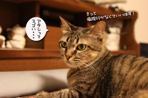 スゴいあすかのキメぜりふ_d0355333_11052993.jpg