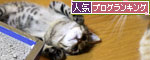 ちびっこパワー衰えるところ知らず_d0355333_11053986.jpg