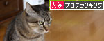 こねこ首輪とのんびり週末_d0355333_11054663.jpg