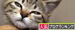 赤ちゃん猫たちの名前は_d0355333_11055101.jpg
