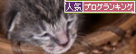 おこめちゃんたちの体重測定_d0355333_11055608.jpg