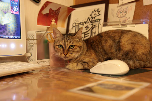 いたずらっこな瞳のゆいちゃんに!_d0355333_11060577.jpg