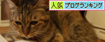 いたずらっこな瞳のゆいちゃんに!_d0355333_11060664.jpg