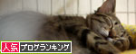 もう少し寝かせて_d0355333_11061036.jpg
