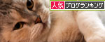 複雑なオトメゴコロ。_d0355333_11063550.jpg