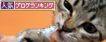 今日は煮干しパーティ_d0355333_11063834.jpg