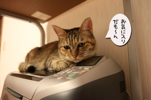 それぞれの好きな場所にて_d0355333_11063997.jpg