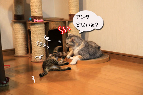 それぞれの好きな場所にて_d0355333_11064028.jpg