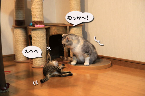 それぞれの好きな場所にて_d0355333_11064040.jpg