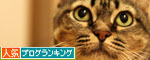 小さなお守り、大きな力。_d0355333_11065771.jpg