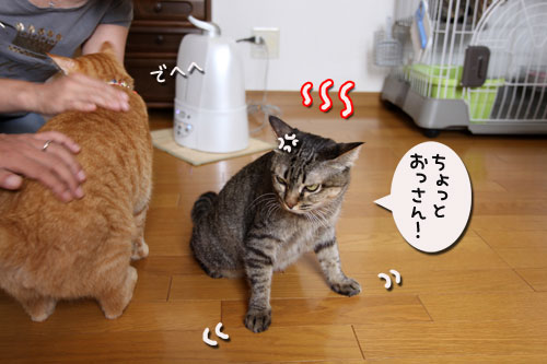 おこめちゃんたちのお見合い_d0355333_11071067.jpg