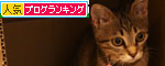 ひとり遊びは楽しい?_d0355333_11071876.jpg