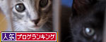 しっぽ星人あらわる!_d0355333_11072222.jpg