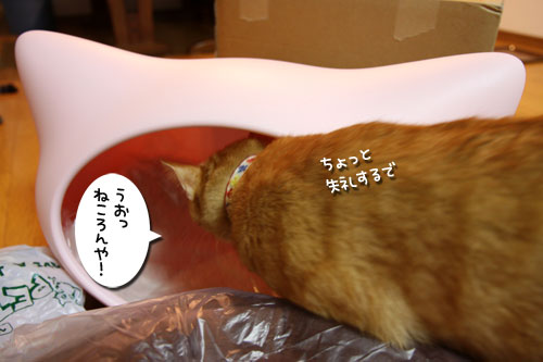 どっさりプレゼント_d0355333_11072286.jpg