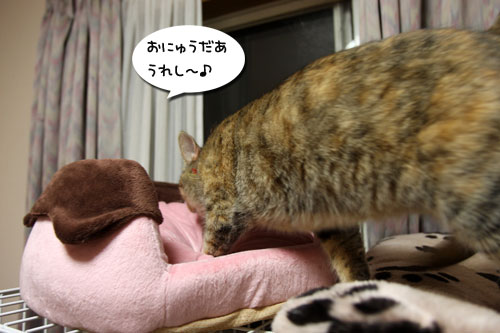 どっさりプレゼント_d0355333_11072392.jpg