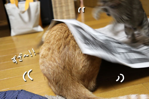 遊びのツボ_d0355333_11072909.jpg