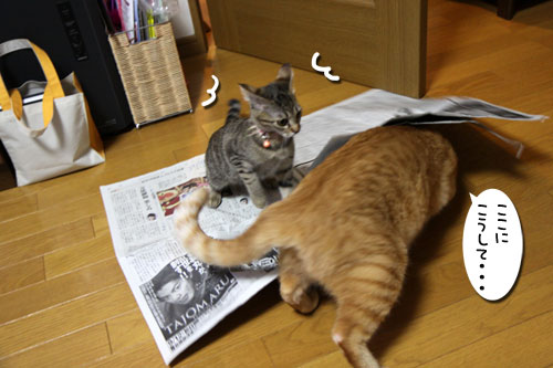 遊びのツボ_d0355333_11072949.jpg
