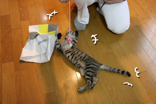 もうひとつの良い知らせ_d0355333_11074163.jpg