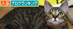 もうひとつの良い知らせ_d0355333_11074181.jpg