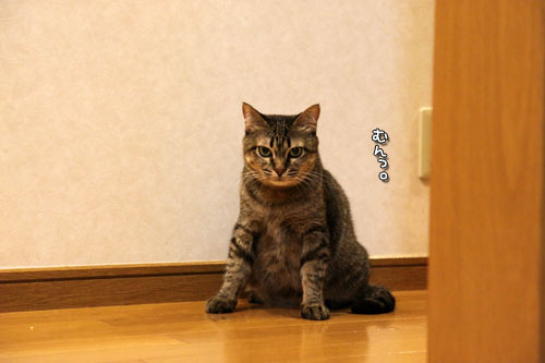 一緒に闘おう。_d0355333_11074468.jpg