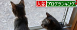 わかばちゃんの卒業_d0355333_11074656.jpg