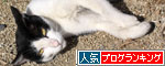お邪魔虫はだあれ?_d0355333_11075057.jpg