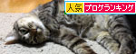 我、関せず。_d0355333_11075770.jpg