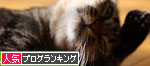 カメラが凶器になるとき_d0355333_11080767.jpg