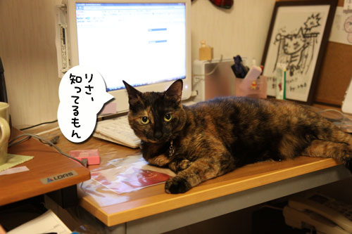 先住さんたちは敏感_d0355333_11081170.jpg