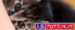 とにかくかわいいのだ★追記あり_d0355333_11081946.jpg