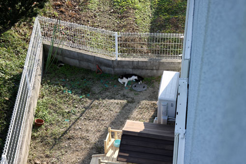 思うようにはいかない_d0355333_11082067.jpg