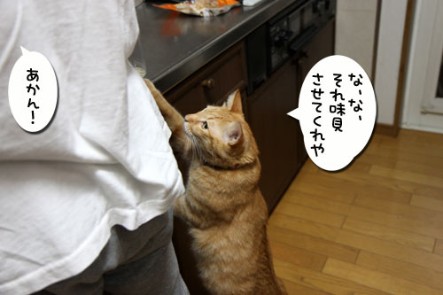 今夜は●●●●パーティ_d0355333_11082109.jpg