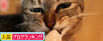 今夜は●●●●パーティ_d0355333_11082344.jpg