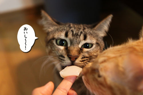 今夜は●●●●パーティ_d0355333_11082377.jpg