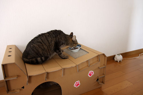 おおらかに_d0355333_11082378.jpg