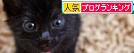 命名・集合!_d0355333_11083016.jpg