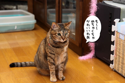 ちゃとらん流ちびっこ歓迎方法_d0355333_11084111.jpg