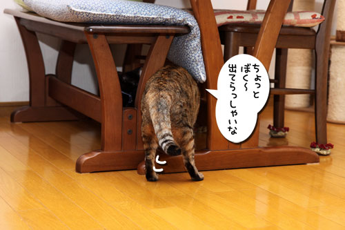 ちゃとらん流ちびっこ歓迎方法_d0355333_11084161.jpg