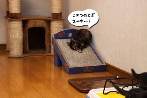 ちゃとらん流ちびっこ歓迎方法_d0355333_11084191.jpg