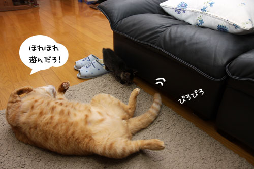 ちゃとらん流ちびっこ歓迎方法_d0355333_11084274.jpg