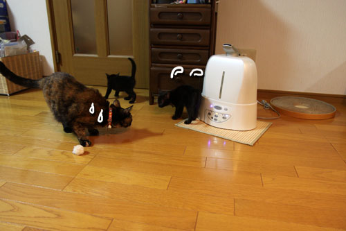 緊張の一瞬!_d0355333_11084749.jpg