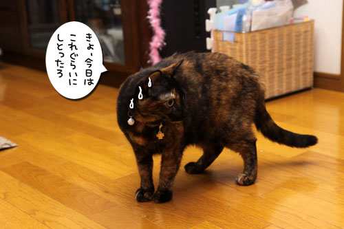 緊張の一瞬!_d0355333_11084801.jpg
