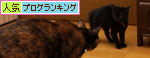 緊張の一瞬!_d0355333_11084839.jpg